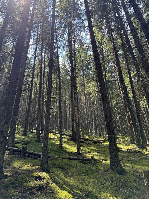 Mountain trails and hiking paths in Buscat