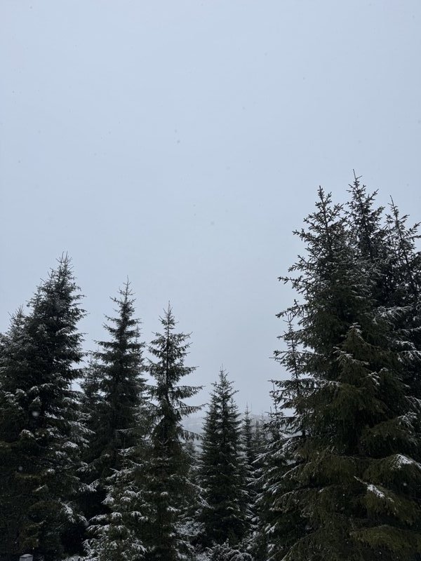 Nivalis Resort & SPA mountain retreat in Buscat
