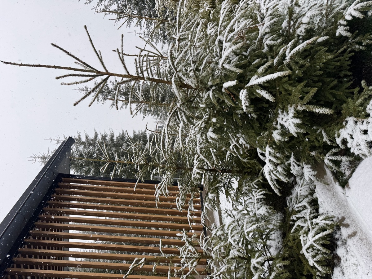 Chalet in Apuseni mountains Romania