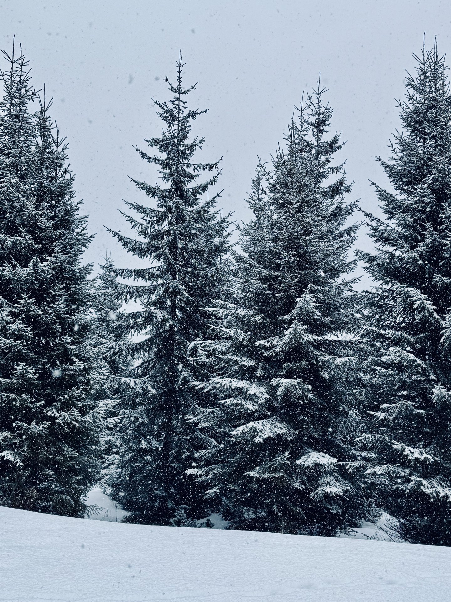 Winter hero view of Nivalis Resort & SPA near the ski slopes in Buscat