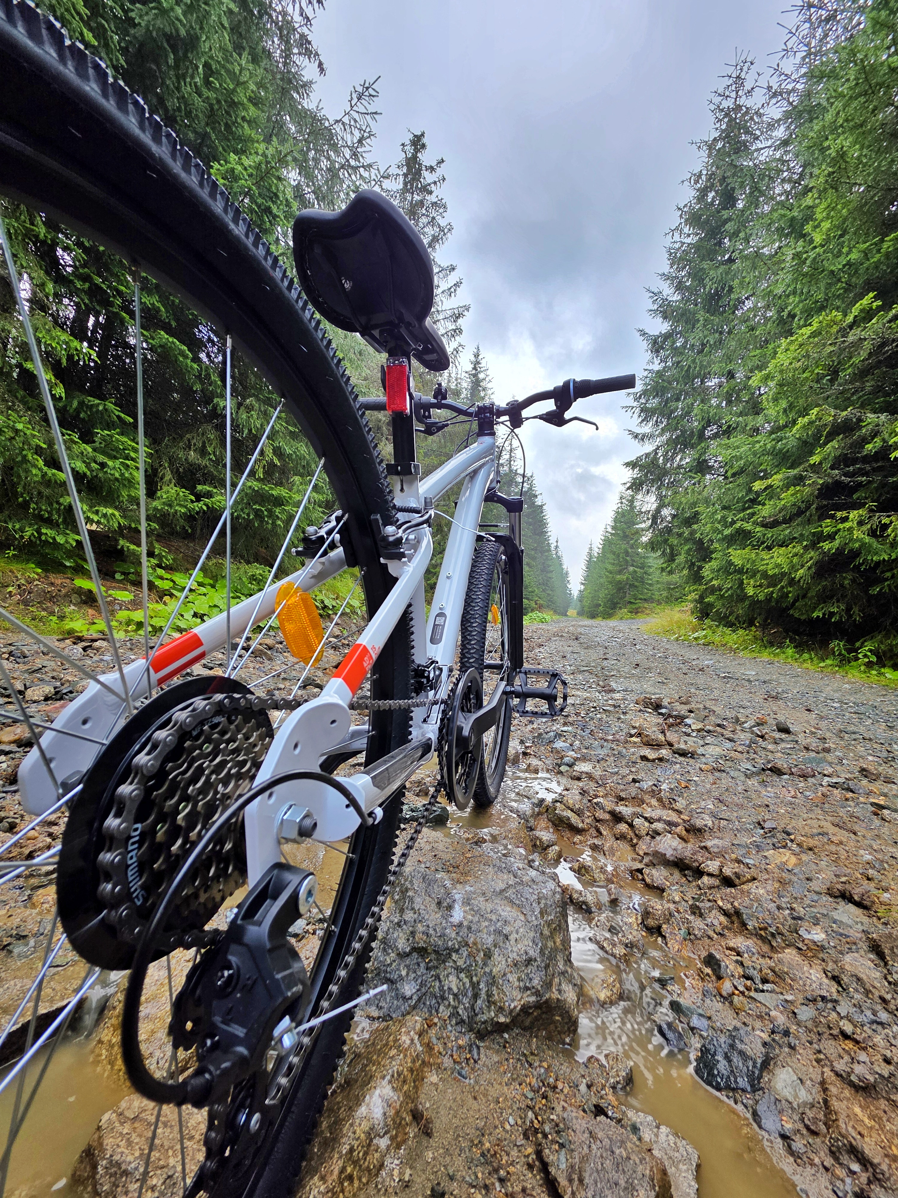 Mountain bike on a forest road near Nivalis Resort & SPA, Buscat