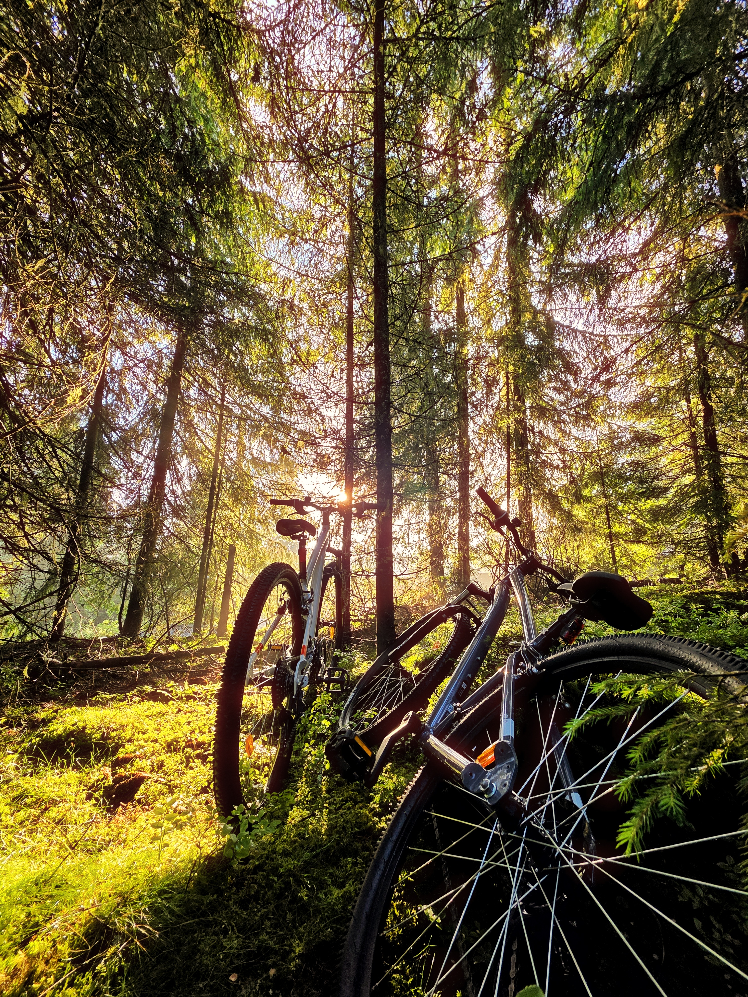 Mountain bike rentals at Nivalis Resort & SPA, Buscat