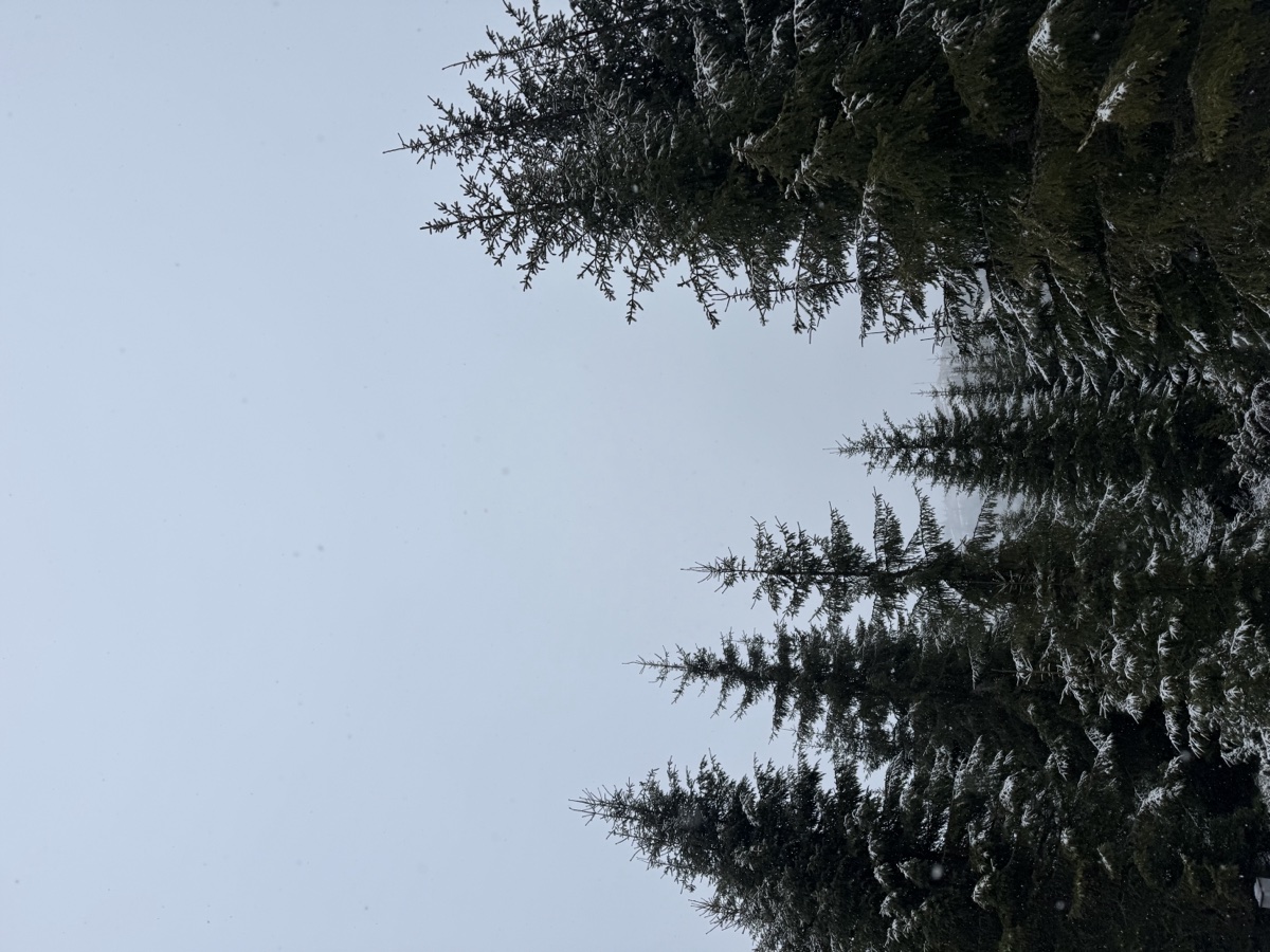 Resort and SPA Buscat Nivalis Romania