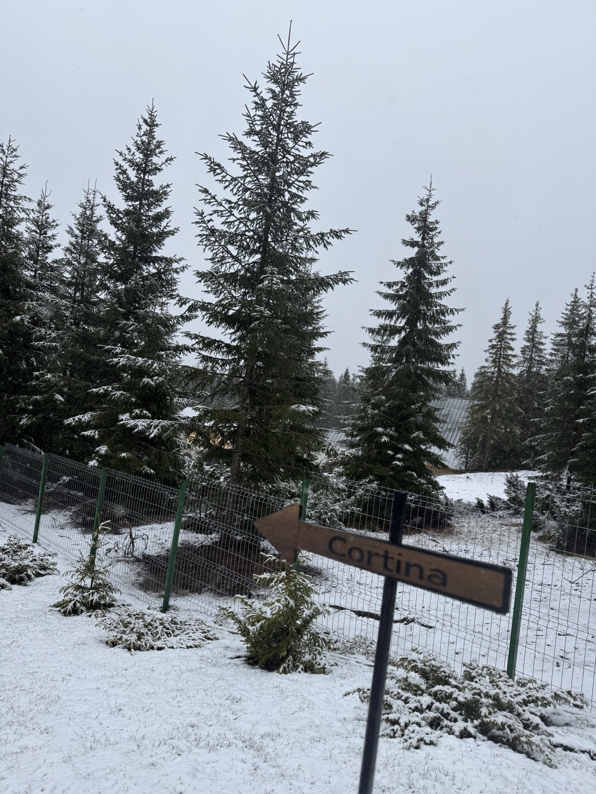 Nivalis Resort and SPA facilities Buscat