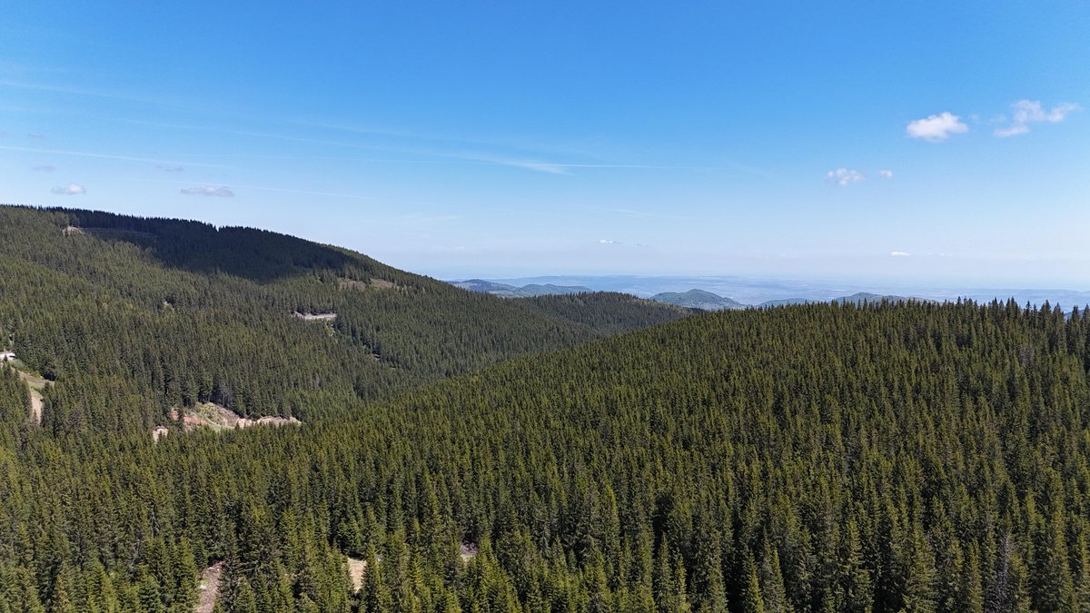 Summer mountain hiking in the Buscat area, Cluj County — Nivalis Resort & SPA